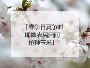 春争日夏争时 即墨农民田间抢种玉米