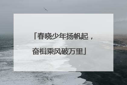 春晓少年扬帆起，奋楫乘风破万里