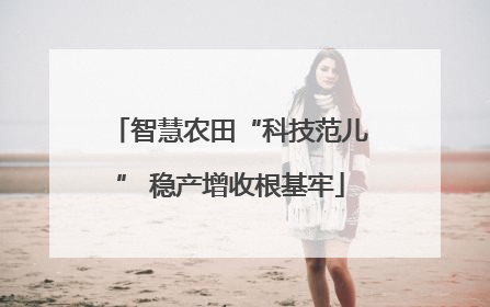 智慧农田“科技范儿” 稳产增收根基牢