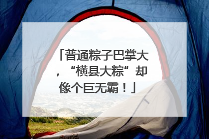 普通粽子巴掌大，“横县大粽”却像个巨无霸！