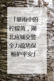 暴雨中的柠檬黄，湖北应城交警全力疏堵保畅护平安