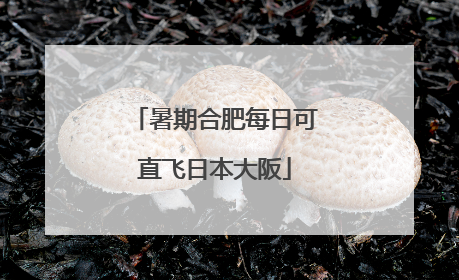 暑期合肥每日可直飞日本大阪