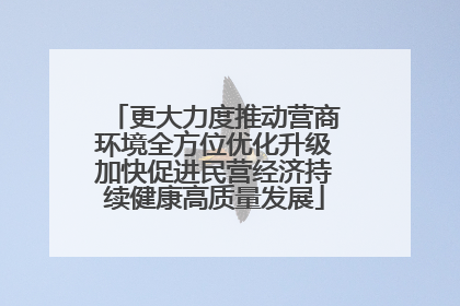 更大力度推动营商环境全方位优化升级加快促进民营经济持续健康高质量发展