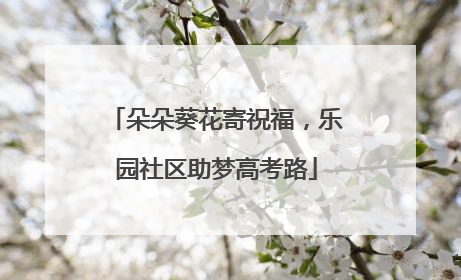 朵朵葵花寄祝福，乐园社区助梦高考路