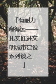 有耐力 跑得远——扎实推进文明城市建设系列谈之二
