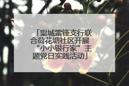 望城雷锋支行联合荷花塘社区开展“小小银行家”主题党日实践活动