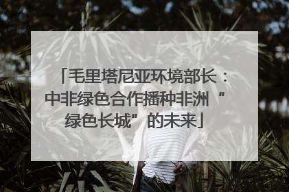 毛里塔尼亚环境部长：中非绿色合作播种非洲“绿色长城”的未来