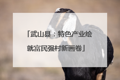 武山县：特色产业绘就富民强村新画卷