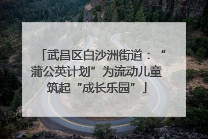 武昌区白沙洲街道：“蒲公英计划”为流动儿童筑起“成长乐园”