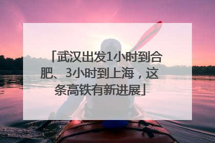 武汉出发1小时到合肥、3小时到上海，这条高铁有新进展