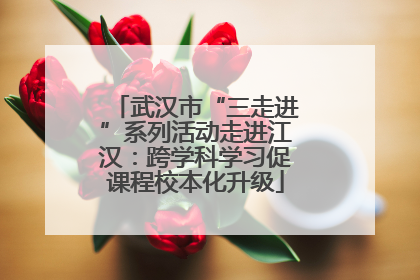 武汉市“三走进”系列活动走进江汉：跨学科学习促课程校本化升级