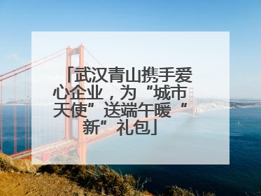 武汉青山携手爱心企业，为“城市天使”送端午暖“新”礼包