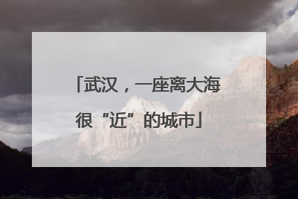 武汉，一座离大海很“近”的城市