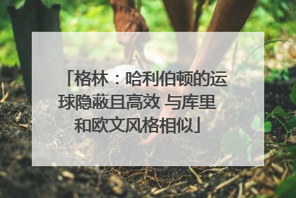 格林：哈利伯顿的运球隐蔽且高效 与库里和欧文风格相似