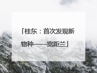 桂东：首次发现新物种——宽距兰