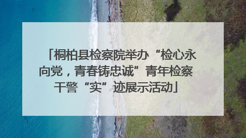 桐柏县检察院举办“检心永向党，青春铸忠诚”青年检察干警“实”迹展示活动