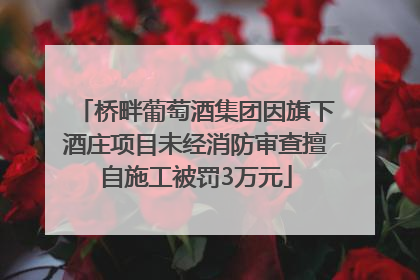 桥畔葡萄酒集团因旗下酒庄项目未经消防审查擅自施工被罚3万元