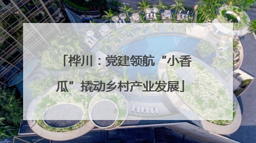 桦川：党建领航“小香瓜”撬动乡村产业发展