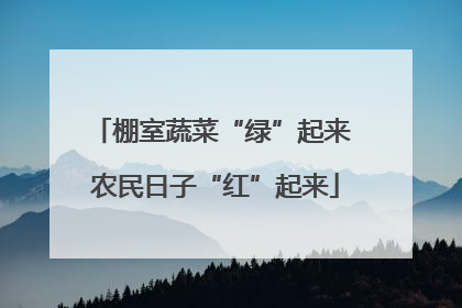 棚室蔬菜“绿”起来 农民日子“红”起来