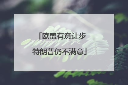 欧盟有意让步 特朗普仍不满意