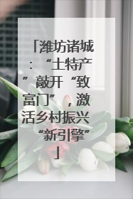 潍坊诸城：“土特产”敲开“致富门”，激活乡村振兴“新引擎”