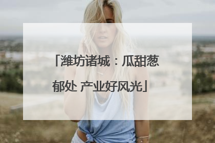 潍坊诸城：瓜甜葱郁处 产业好风光