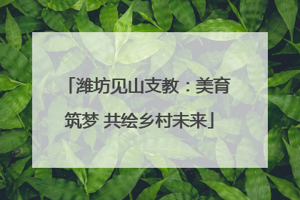 潍坊见山支教：美育筑梦 共绘乡村未来