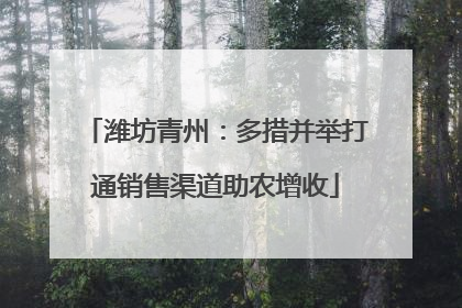 潍坊青州：多措并举打通销售渠道助农增收