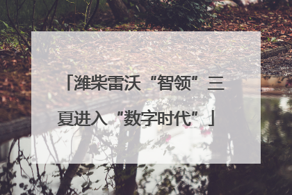潍柴雷沃“智领”三夏进入“数字时代”