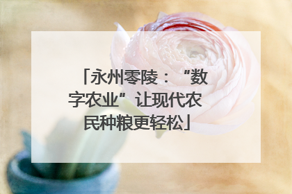 永州零陵：“数字农业”让现代农民种粮更轻松