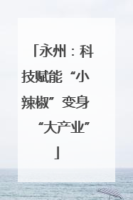 永州：科技赋能“小辣椒”变身“大产业”