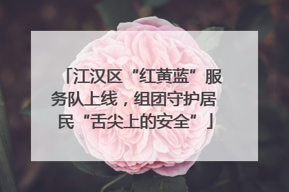 江汉区“红黄蓝”服务队上线，组团守护居民“舌尖上的安全”