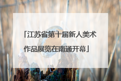 江苏省第十届新人美术作品展览在南通开幕