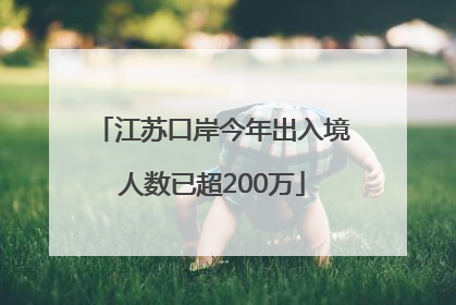 江苏口岸今年出入境人数已超200万