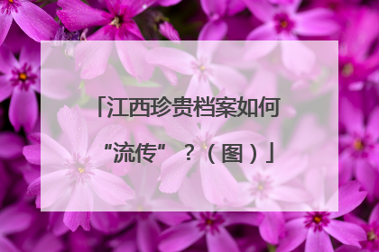 江西珍贵档案如何“流传”？（图）