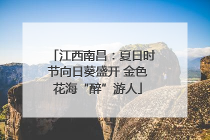 江西南昌：夏日时节向日葵盛开 金色花海“醉”游人