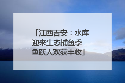 江西吉安：水库迎来生态捕鱼季 鱼跃人欢获丰收