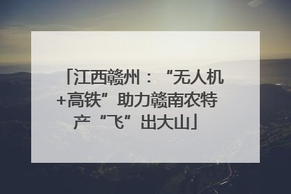 江西赣州：“无人机+高铁”助力赣南农特产“飞”出大山
