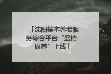 沈阳基本养老服务综合平台“盛情康养”上线
