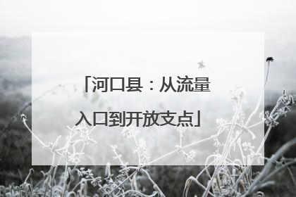 河口县：从流量入口到开放支点