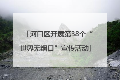 河口区开展第38个“世界无烟日”宣传活动