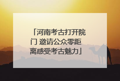 河南考古打开院门 邀请公众零距离感受考古魅力
