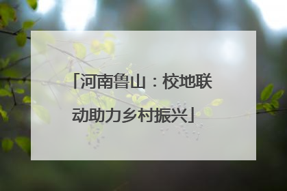 河南鲁山：校地联动助力乡村振兴