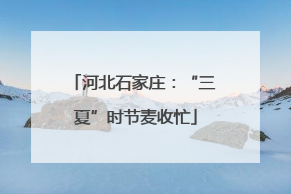 河北石家庄：“三夏”时节麦收忙