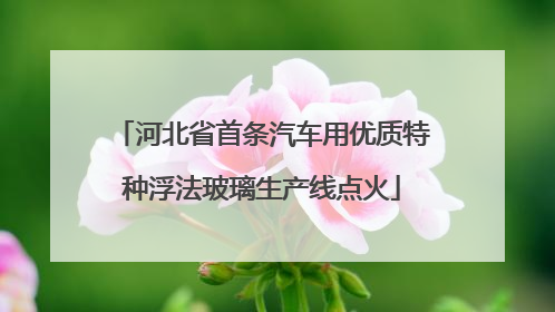 河北省首条汽车用优质特种浮法玻璃生产线点火