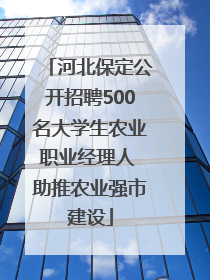 河北保定公开招聘500名大学生农业职业经理人 助推农业强市建设