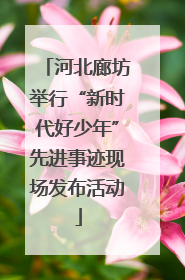 河北廊坊举行“新时代好少年”先进事迹现场发布活动