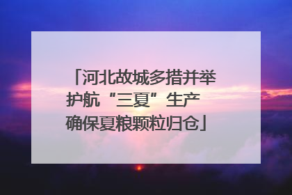 河北故城多措并举护航“三夏”生产 确保夏粮颗粒归仓