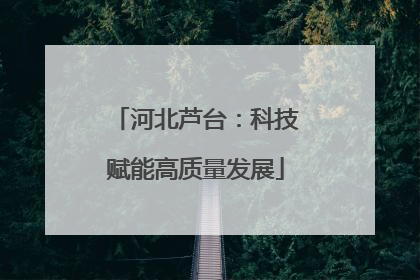 河北芦台：科技赋能高质量发展
