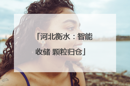 河北衡水：智能收储 颗粒归仓